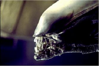 20060616235006-alien.jpg