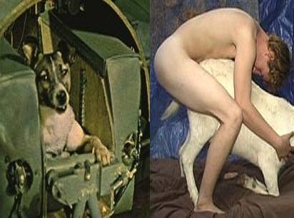 20060922022608-la-verdad-sobre-la-perra-laika.jpg