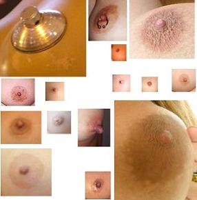 20061025004839-tapones.jpg