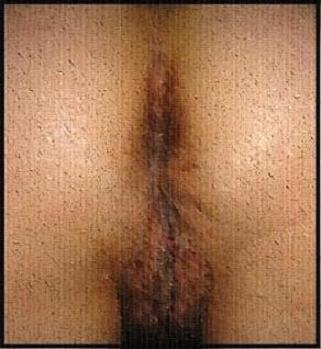 20061207174047-paint-3.jpg