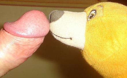 20070227233044-osito-4-esta.jpg
